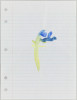 Loose Leaf Notebook Drawings - Box 6, Group 15