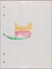 Loose Leaf Notebook drawings - Box 16, Group 10 (Group of 8 drawings)