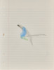 Loose Leaf Notebook Drawings - Box 15, Group 8, Richard Tuttle, Watercolor, Nora Eccles Harrison Museum of Art, Utah State University