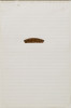 Rome Drawing #6, Richard Tuttle, Drawing, New Mexico Museum of Art, Museum of New Mexico