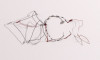 Wire Drawings, Richard Francisco, Sculpture, Albright-Knox Art Gallery