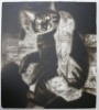Man Holding a Cat, Daryl Trivieri, Painting, Portland Art Museum [Oregon]