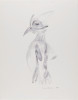 Untitled (Bird and Fish Series), Daryl Trivieri, Drawing, Weatherspoon Art Museum, The University of North Carolina at Greensboro