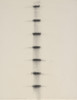 Incised Point Progression - One, Edda Renouf, Drawing, Indianapolis Museum of Art