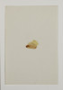 Space and Time (Formerly: Untitled #1), Richard Tuttle, Watercolor, The Speed Art Museum