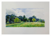 Big Field from South Side, Lucio Pozzi, Watercolor, Yellowstone Art Museum