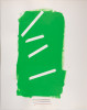 MCA Wall Plan (green), Lucio Pozzi, Painting, Virginia Museum of Fine Arts