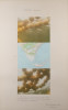 Undersea Oranges, Peter Hutchinson, Collage, Joslyn Art Museum